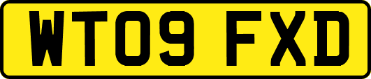 WT09FXD