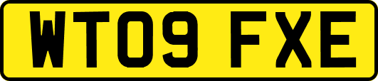 WT09FXE