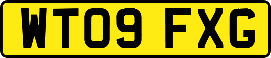 WT09FXG