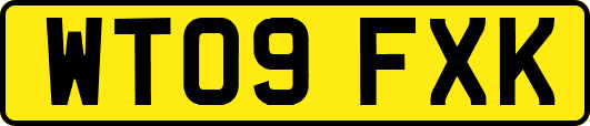 WT09FXK