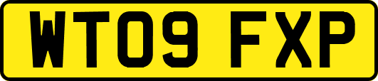 WT09FXP
