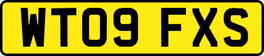 WT09FXS