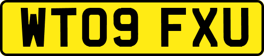 WT09FXU