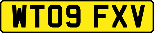 WT09FXV