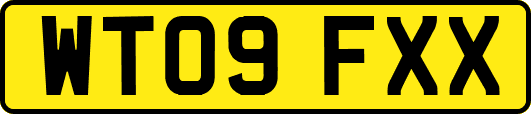 WT09FXX