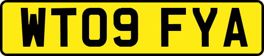 WT09FYA