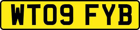 WT09FYB