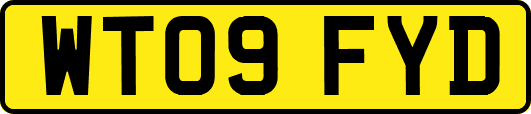 WT09FYD