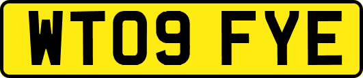WT09FYE