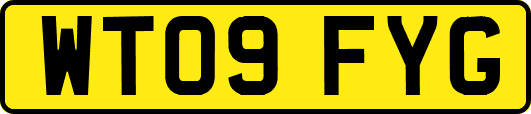 WT09FYG