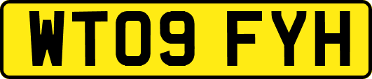 WT09FYH