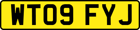 WT09FYJ