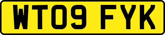 WT09FYK