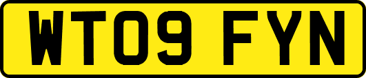 WT09FYN