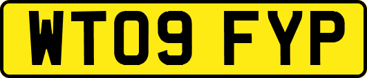 WT09FYP
