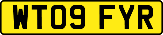 WT09FYR