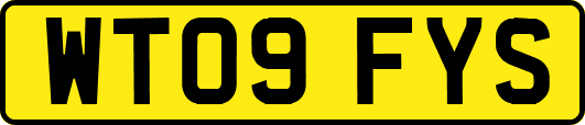WT09FYS