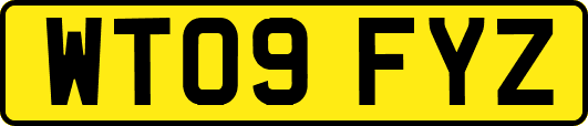 WT09FYZ