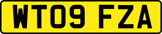 WT09FZA