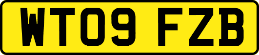 WT09FZB