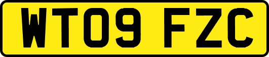 WT09FZC