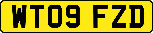 WT09FZD