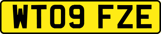 WT09FZE