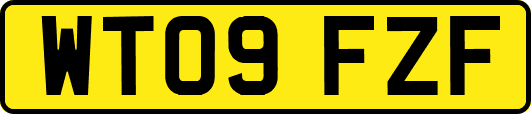 WT09FZF