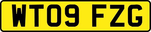 WT09FZG