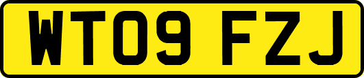 WT09FZJ