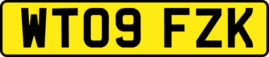 WT09FZK