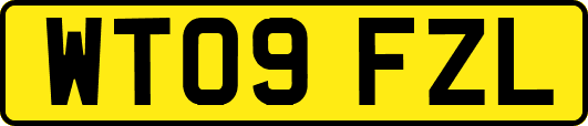 WT09FZL