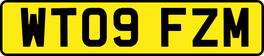 WT09FZM