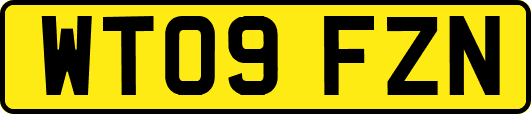 WT09FZN