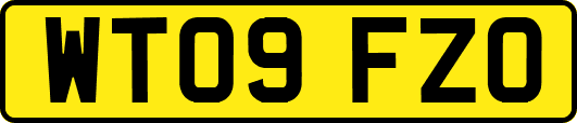 WT09FZO