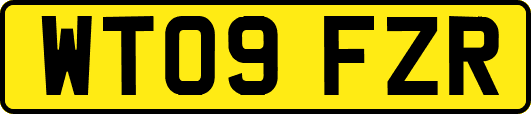 WT09FZR