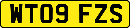 WT09FZS
