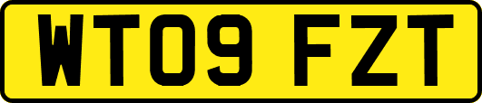 WT09FZT