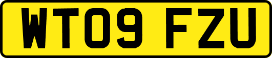 WT09FZU