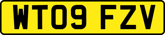 WT09FZV