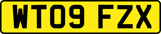 WT09FZX
