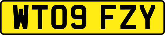 WT09FZY