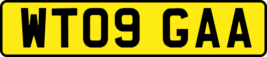 WT09GAA