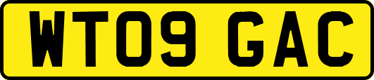 WT09GAC