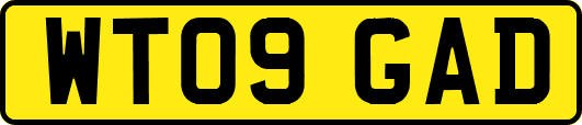 WT09GAD