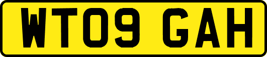 WT09GAH