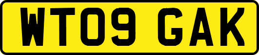 WT09GAK