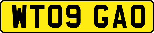 WT09GAO