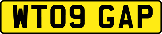 WT09GAP