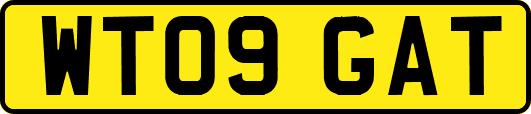WT09GAT